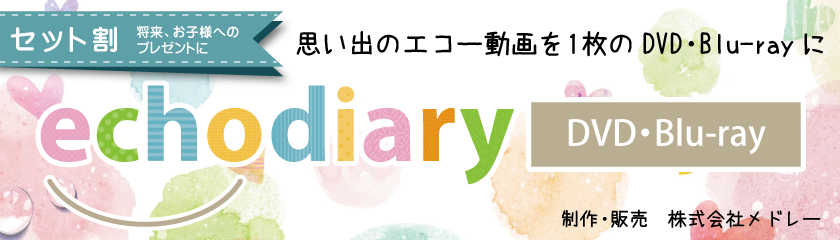 echodiary DVD, Blu-ray